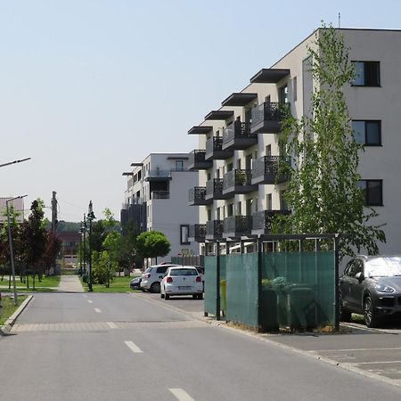 Amazing Apartament With Garden Bucharest Airport Self Check-In!! Otopeni Exterior photo
